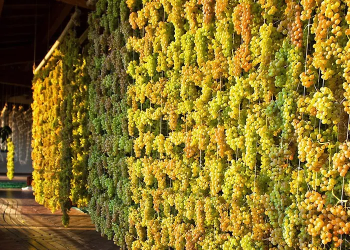 فندق Soave Relais Castelcerino سواف