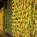 Hotell Soave Relais Castelcerino Soave (Verona)