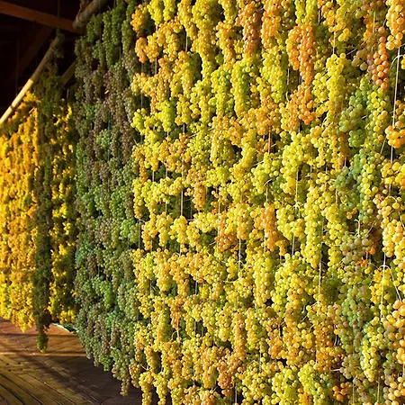 Hotel Villa Singh Soave (Verona)